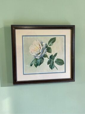 Vintage Rose Botanical Print Picture